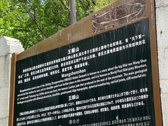 -王顺山国家森林公园