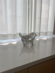 -美丽妈妈产后恢复中心(南桥旗舰店)