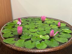 -第六季自助餐厅(北太平庄店)