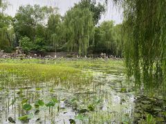-莲湖公园