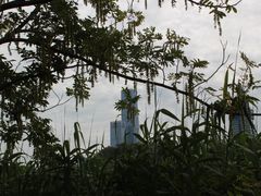 -观山湖公园