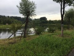 -东郊湿地公园