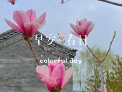 -南海子公园