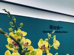 -杭州口腔医院(城西院区)