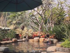 -厦门日月谷温泉渡假村