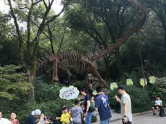 -杭州少年儿童公园