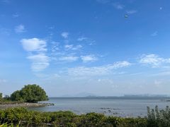 -深圳湾公园(南山区)