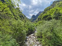 -青峰峡国家森林公园