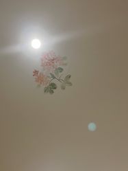 -静博士·养生养颜