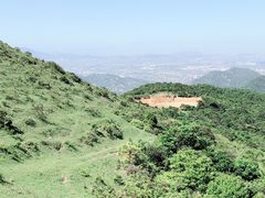 -大姆山草场