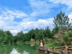 -桤木河湿地公园