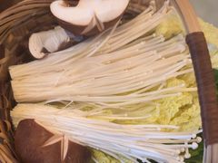 -同仁四季椰子鸡(罗湖国贸店)