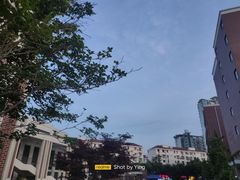 -上海市曹杨第二中学