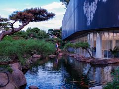 -罗红摄影艺术馆