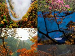 -燕子河大峡谷天坑仙境