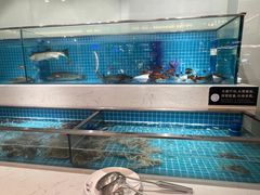 -腾阁自助餐厅(朝林广场店)