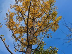 -长春公园(普阳街道)