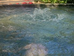 -仁爱团泊湖温泉中心