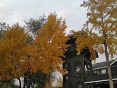 -永定河休闲森林公园