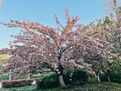 -天鹅湖体育公园
