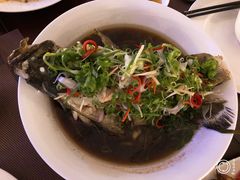 -芽庄MP泰式海鲜海景餐厅