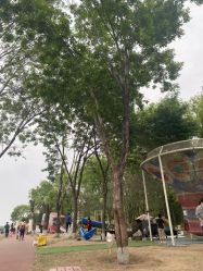 -大美儿童世界(奥林匹克水上公园店)