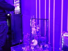 -唐会ktv(虹口店)