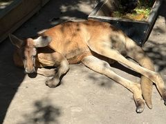 -水上乐园·欢乐世界