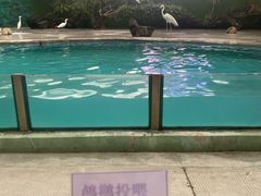 -广州长隆飞鸟乐园