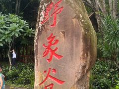 -野象谷景区