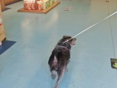 -萌兽医馆·犬猫专科·眼科中心·宠物医院(朝阳门分院)
