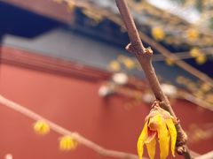 -钱王祠