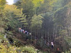 -藏龙百瀑风景区