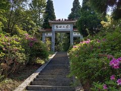 -江西阳明山国家森林公园