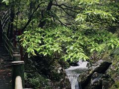 -周洛大峡谷