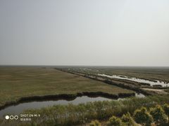 -南大港湿地风景区