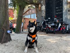 -西涌国际滨海旅游区