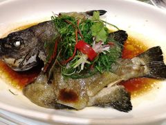 -山泉公馆酒家(珠江新城店)
