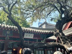 -莲池书院博物馆