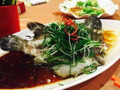 -御唐府海珊瑚主题餐厅
