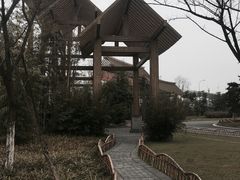 -桤木河湿地公园