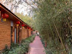 -阿斯牛牛十二餐厅•四季餐厅(民族大道店)