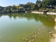 -谷丰健康凤贤居酒家