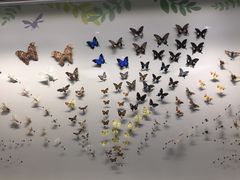 -香港科学馆