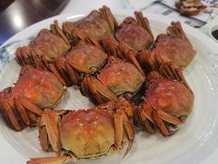 -旺山·浪头人家