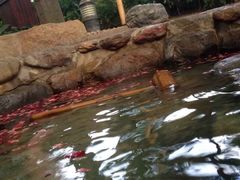 -厦门日月谷温泉渡假村