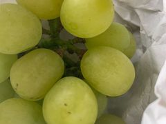 -马陆小张葡萄园农家乐