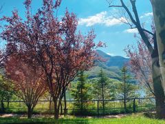 -天鹅湖生态旅游风景区