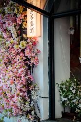 -艾米丽儿童摄影