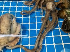 -渔人湾码头海鲜市场负二楼